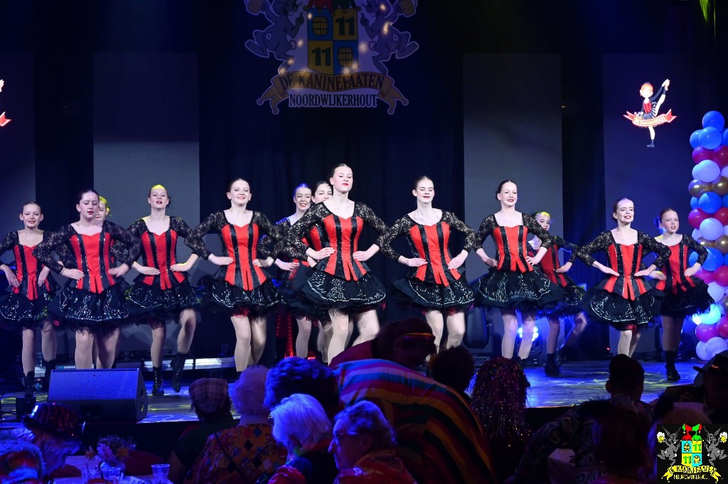 ../Images/Seniorencarnaval 2026 231.jpg